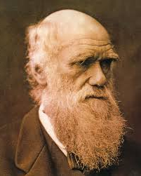 Darwin